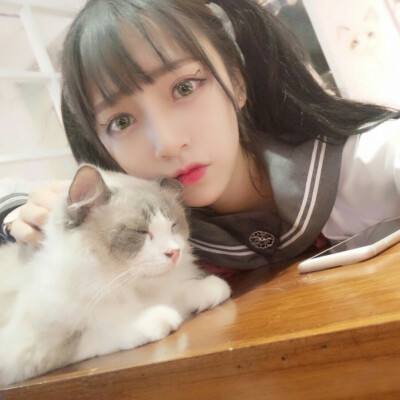 三国纪元最新版下载